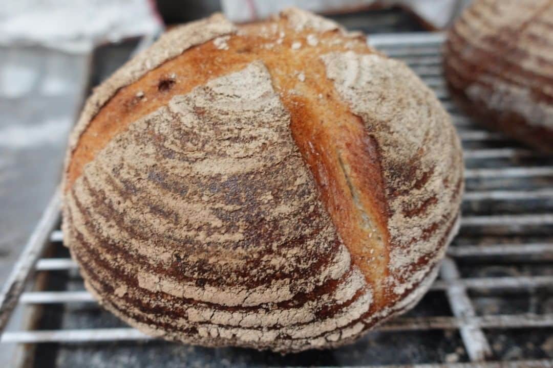 魔女菅原のグルメインスタ