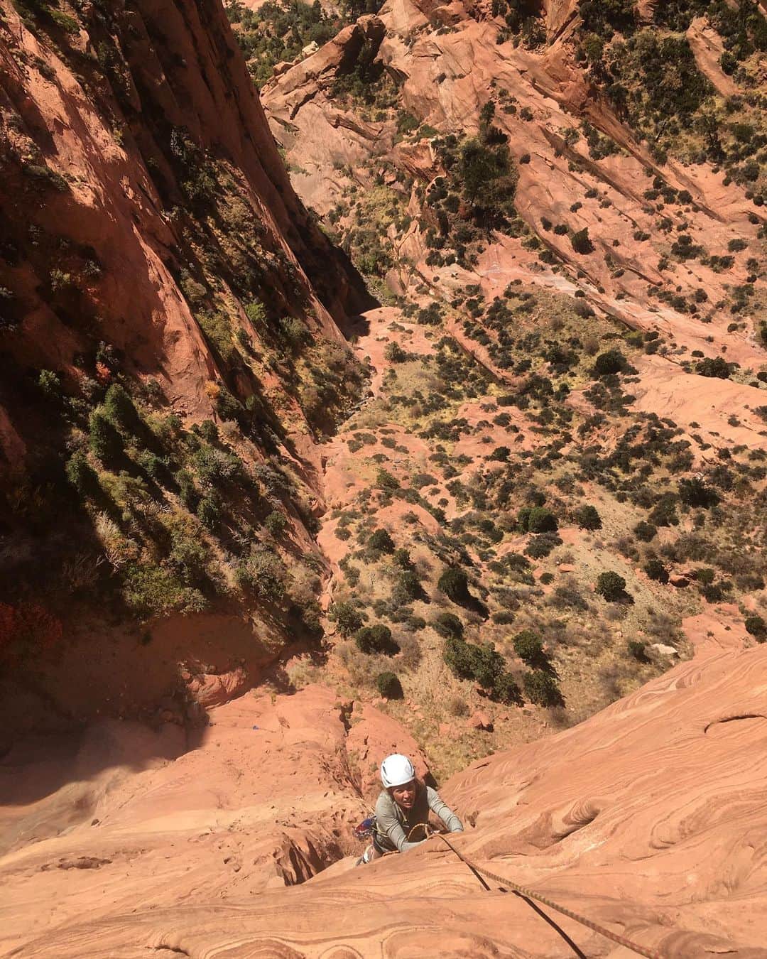 アレックス・オノルドのインスタグラム：「I haven’t been posting on IG much recently because I took it off my phone. But since I’m on here anyway for my election related live tonight I figure I’ll share this nice pic of my wife (!!) enjoying the sandy walls of Zion National Park. Her face sums up our feeling on the rock quality on this particular route... nice weekend adventure tho. Yosemite soon!」