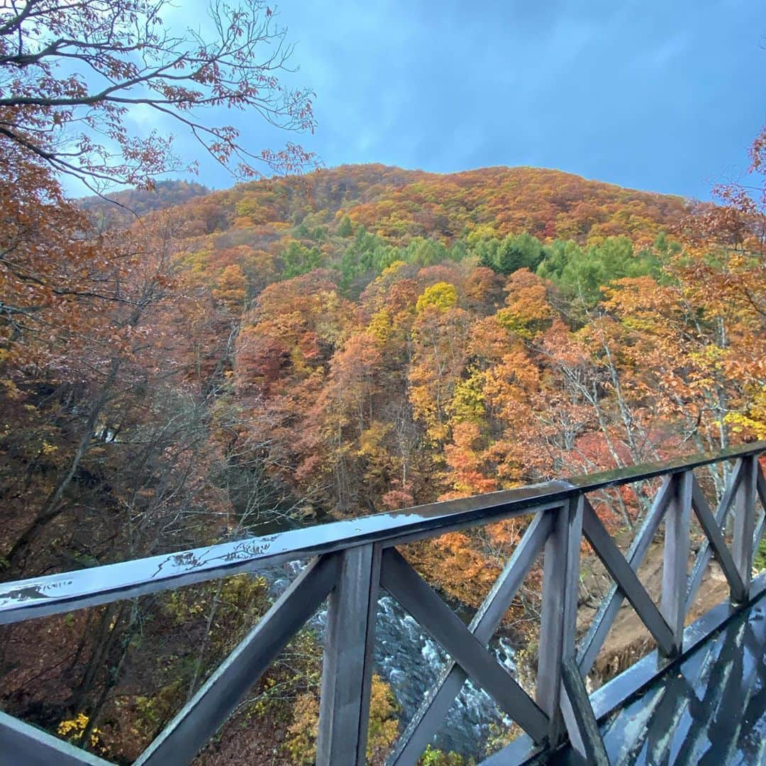 北山美奈さんのインスタグラム写真 - (北山美奈Instagram)「景色も良くて🍁🍂お洒落で店内は素敵でした‼︎いつかこんな老後も良いななんて思える感じでした。 でも残念な事は、店内ピリピリしてて なんか満席だったけどかなりみんなシーンとしてた。入る前に電話で、車が道路に続いてたので、ここの店の待ちか分からなくて、混んでますか？駐車どこにして良いんですかね？って聞いたら、わーわー何言われてるかわからない発言の後にめっちゃ怒鳴られてこっちだって分かんねーんだよ‼︎って言われてその後３秒位意味わからなくて無になったんだけど、あの電話並んでる人や座ってる人、絶対聞こえてるな。中々カオスです🤣ある意味面白い🤣顔見たくて、並んだwwコーヒー作ってるおじさんが怖い顔してたからそうだなぁと。 いる時に電話きてたのは女性が出てたのできっとやばいと察知したのでしょう。 のんびり好きなコーヒーを作るお店のはずが、インスタ映えで混むようになってストレスも溜まってしまった感じかな？とも、少し同情しますが。。 ５時まででもう食べ物は有りませんって言われてたのでコーヒー☕️だけ飲みました。 きっと混んでなくて普通の日なら、ピリピリしてなくて、電話の被害もなかったと思います。接客業として色々勉強になりました。 でも、店舗電話で意味不明に怒鳴られたのは初で、最初え？何？ってカオスでしたが、逆に面白くなりました😂思い出です。こんな事は日本では中々ないです😂 忙しいとテンパるし、お客様来てくれたでなくて、まだくるの？勘弁してくれよみたいに伝わるもんなんだなと思いました🥺  #紅葉#崖の上のカフェ #カフェ #カオス#店は素敵」10月28日 10時54分 - rin_minakitayama