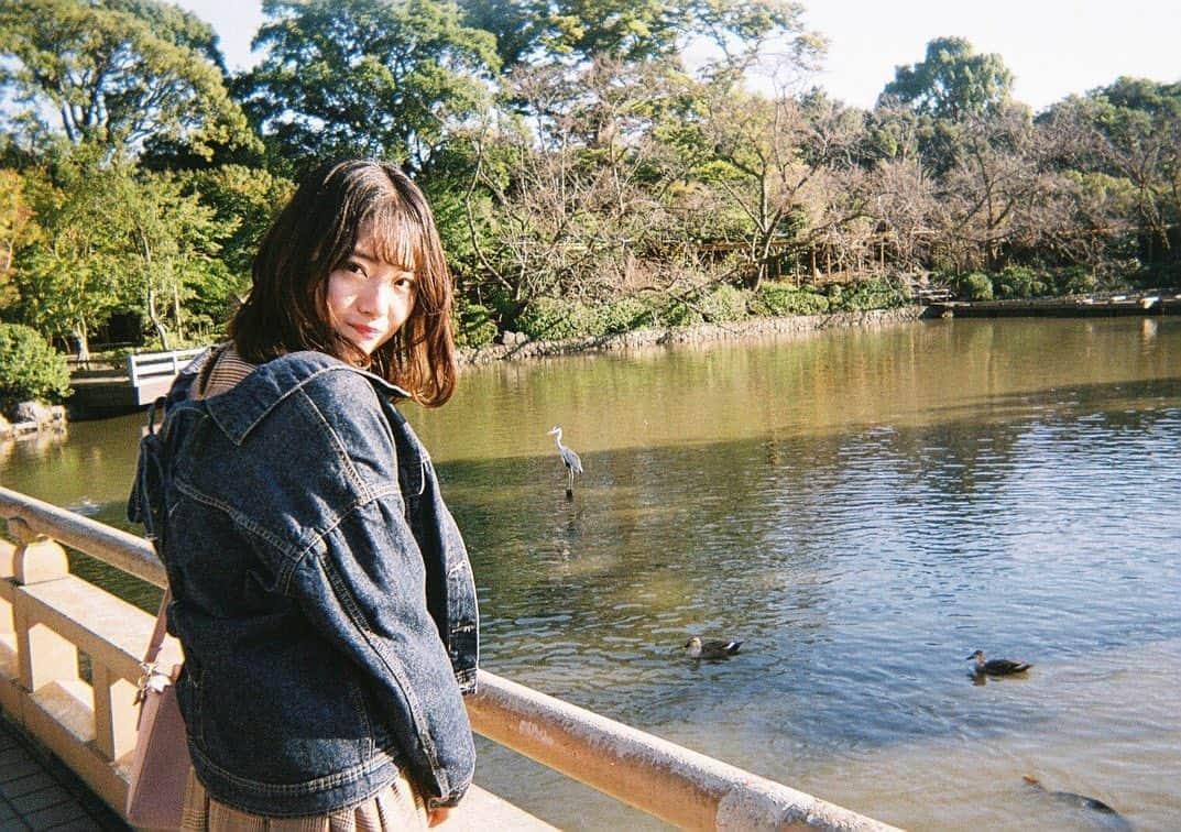 山田杏奈のインスタグラム：「鎌倉で撮影してもらってきました✨﻿ フィルムカメラはなんとも言えない味があっていいですね…📷﻿ フィルムカメラ「風」のアプリを使ったりはしていたけどやっぱり本物は違う🥺﻿ ﻿ 現像するまでどんな写真が撮れたか分からないところも魅力的だし、27枚(？)という限られた枚数で何を撮るか考えるのも楽しい、、、☺️﻿ ﻿ 少し現像にお金かかっちゃうけど今度から旅行に行く時は毎回持ってきたいな〜！﻿ ﻿ #ミスコン2020 #ファイナリスト #推してください #大学生 #ミスコン #ミス東大 #ミス東大2020 #東大生 #東大 #東京大学 #ポートーレート撮影 #ポートレート#ポートレートモデル #写真撮ってる人と繋がりたい #写真好きな人と繋がりたい #カメラ好きな人と繋がりたい #被写体 #ファインダー越しの私の世界 #ポートレート女子  #instagood #instalike #サロモ募集 ﻿ #フィルムカメラ #フィルム」