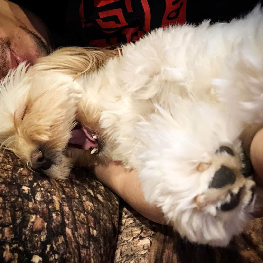 北山陽一のインスタグラム：「おはようございます。#きたやまおもち」