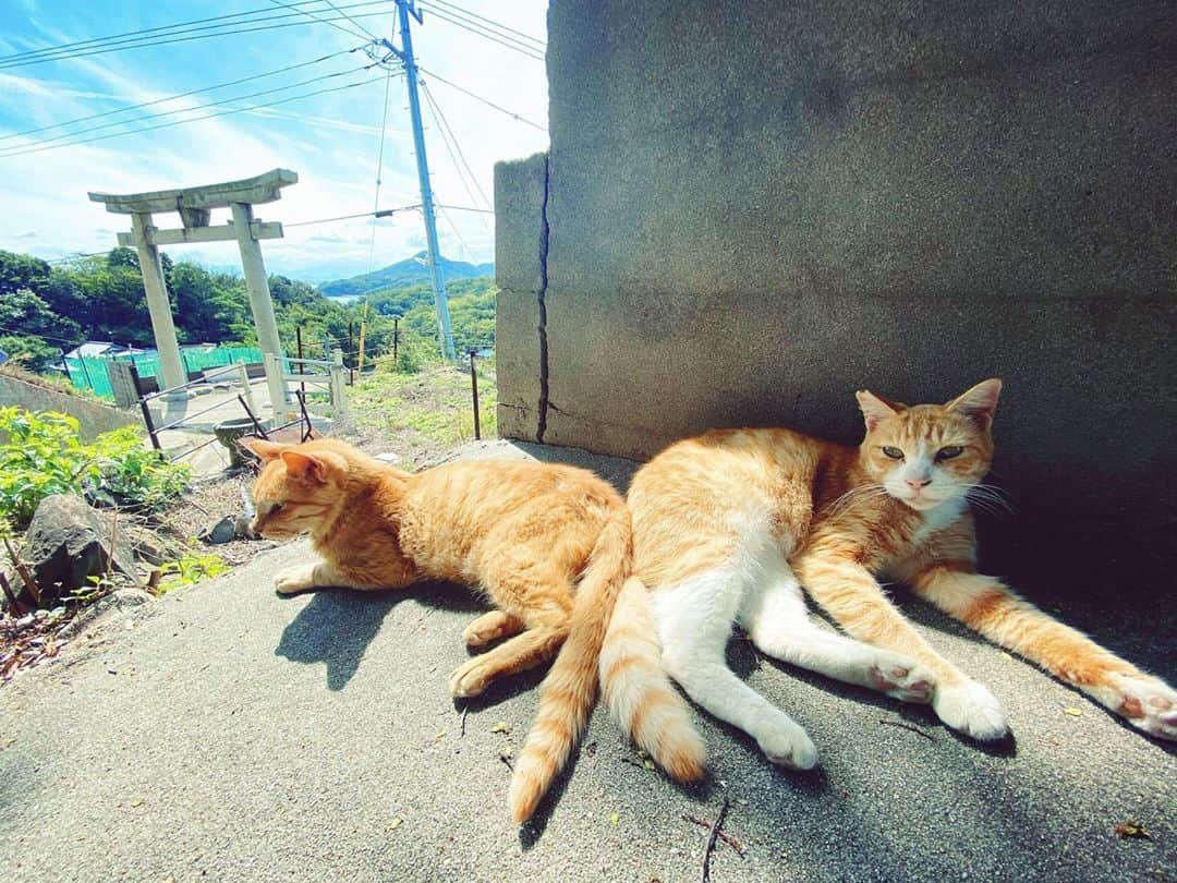 都丸ちよのインスタグラム