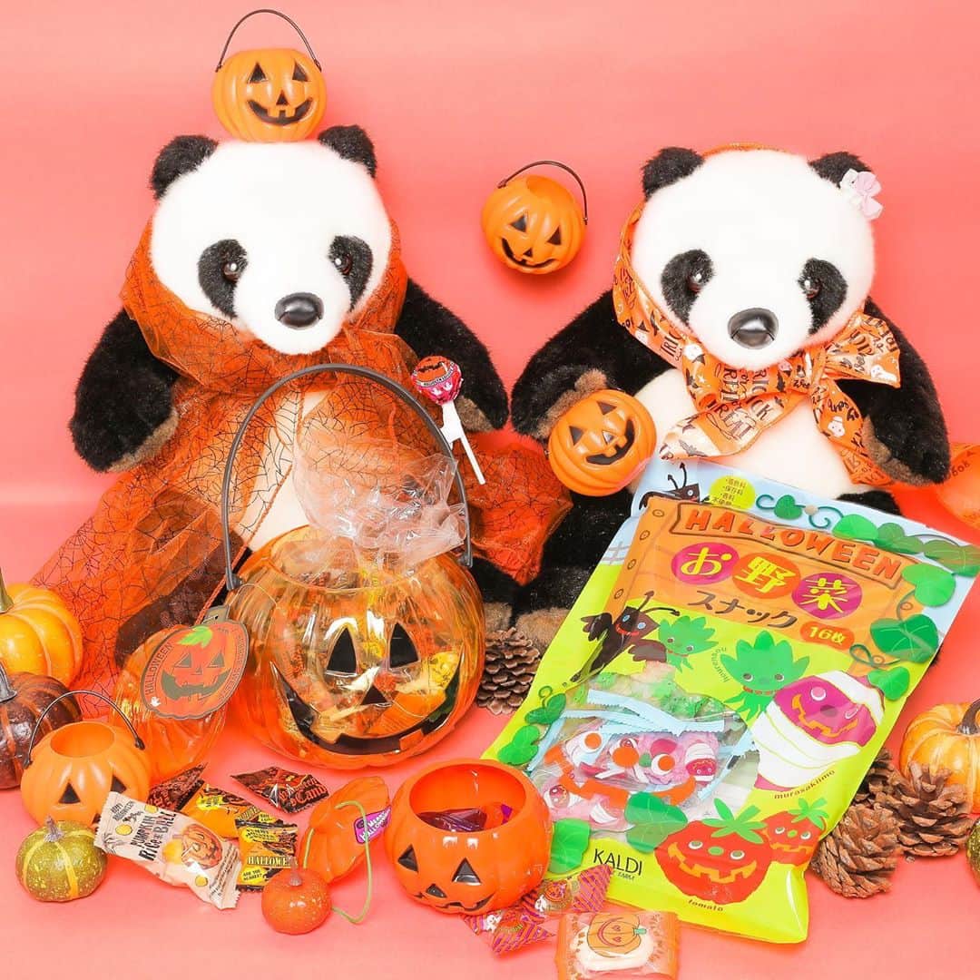 アトレ上野（atre ueno）さんのインスタグラム写真 - (アトレ上野（atre ueno）Instagram)「カルディのお菓子でHappy Halloween🎃👻 今年はなかなかお外でハロウィンパーティーが出来なさそうだから、おうちで楽しんじゃおう🐼🎵 ハロウィンのキャラクターたちが描いてあるキュートなお菓子に、子どもたちも喜んでくれそうだね😆✨   Happy Halloween with snacks from Kaldi🎃👻 It’s kinda hard to have a Halloween party outside this year so let’s have fun at home🐼♫ Children may like these Halloween characters’ snacks😆✨   「KALDI Coffee」出了萬聖節的糖果🎃👻 今年很難在外面過萬聖節了，那就在家裡好好享受吧🐼🎵 畫著萬聖節角色的可愛糖果，孩子們也會很喜歡吧😆✨   #上野 #アトレ上野 #アトレ #atre #atreueno #パンダ #上野パンダ #上野散策 #熊猫 #東京観光 #PANDA #🐼 #ueno #tokyotour #ぬい撮り #カルディ #Kaldi #ハロウィン #ハロウィン2020 #ハロウィンパーティー #おうちハロウィン #ハロウィンスイーツ #ハロウィンお菓子 #halloween #ホームパーティー #halloween2020 #halloweenparty #halloweenparty2020 #homeparty #halloweensnacks」10月28日 12時10分 - atre.ueno