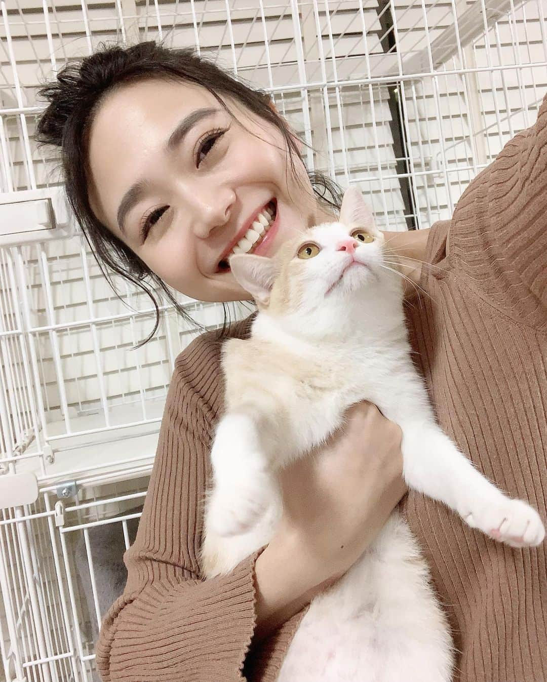 緑川静香さんのインスタグラム写真 - (緑川静香Instagram)「元保護猫のチャイ様、大きくなりました😌❤️﻿ 体重はもう来た時の7倍…ママ感動🥺﻿ ﻿ チャイ様の成長記録はこちら💁‍♀️﻿ @chai2020330  ﻿ たまにおもいきり顔にやめろーて手をおかれる猫あるある🐈﻿ ﻿ #猫のいる暮らし #保護猫を家族に #猫バカ #ねこすたぐらむ #ねこ部 #catstagram #mycat  #あーかわい #皮下脂肪がしっかりしてきた笑 #半年超えたので明日は去勢手術行ってくるよ #より食事気をつけないともっとたぷたぷしてきちゃうから気をつけよう笑 #さて今日はどうなの課放送です #放送前にインスタライブします #23:30くらいですかね✨ #よろしくです」10月28日 12時12分 - midorikawa_shizuka