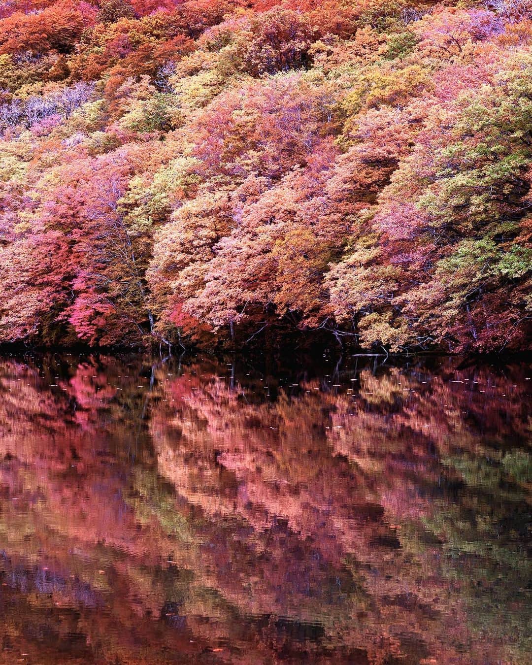 masayaのグルメインスタ