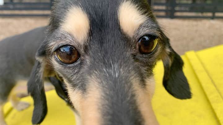 梶原ひかりのグルメインスタ