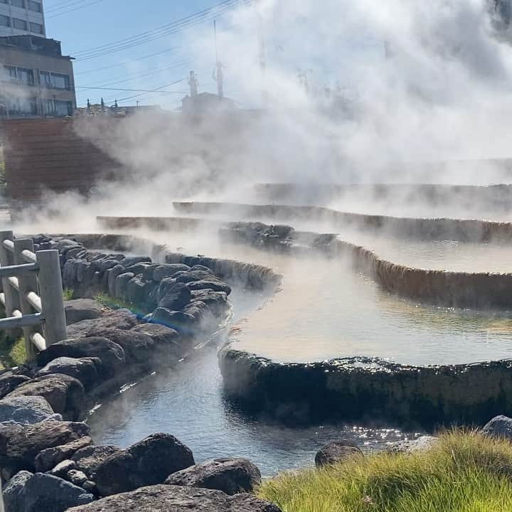 中島遥のインスタグラム