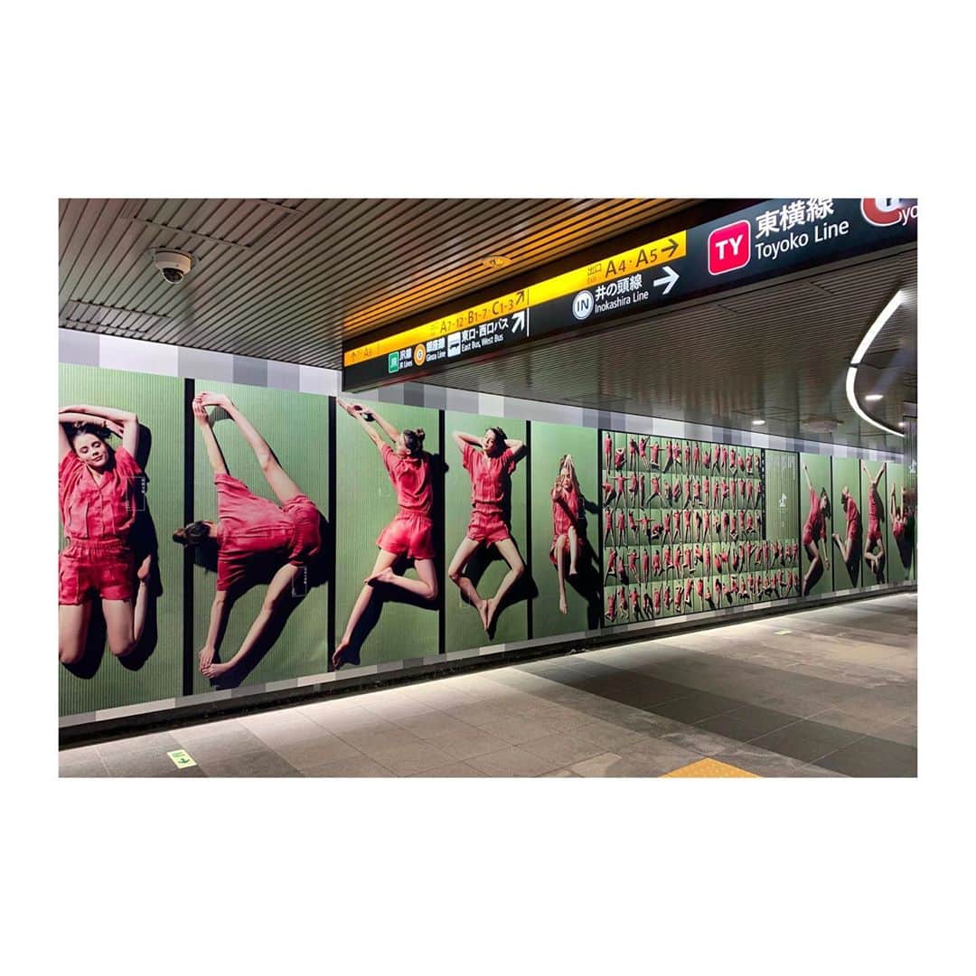 飯束ゆうこさんのインスタグラム写真 - (飯束ゆうこInstagram)「-my work- 熊本県八代市 / 八代畳 "YATSUSHIRO GORONE CORRECTION" 10/26(月)から1週間、渋谷駅地下通路にて広告展開中です。100パターンのごろ寝ポーズが紹介された広告。 撮影中 八代畳のいい香りに癒されて畳っていいなぁ〜と何度も思った1日☺️ 気持ちよさそうにポーズをとるpolinaちゃんもかわいい♨︎ ㅤ 関係者皆様、ありがとうございました🙏✨  ㅤ ㅤ #熊本県八代市 #八代畳 #YATSUSHIROGORONECORRECTION ㅤ ㅤ ㅤ ☆こちらは作品として搭載しているものです。 万が一 不備不明点などございましたら早急に御対応させていただきますので、その際は お手数ですがお問い合わせの程よろしくお願い致します。」10月28日 22時09分 - iitsukayuko