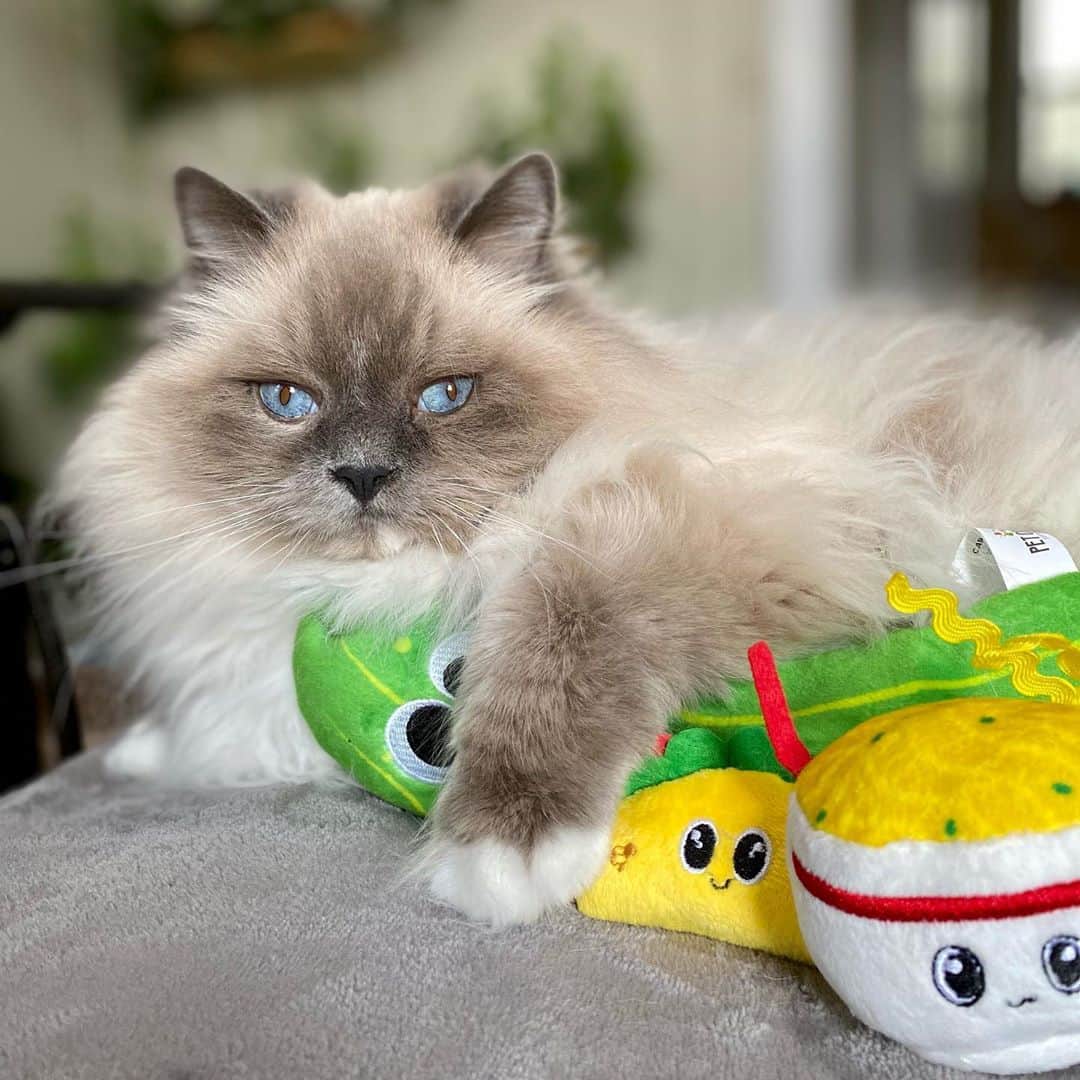 Tinaのインスタグラム：「No one gets between George and his toys. 😅」