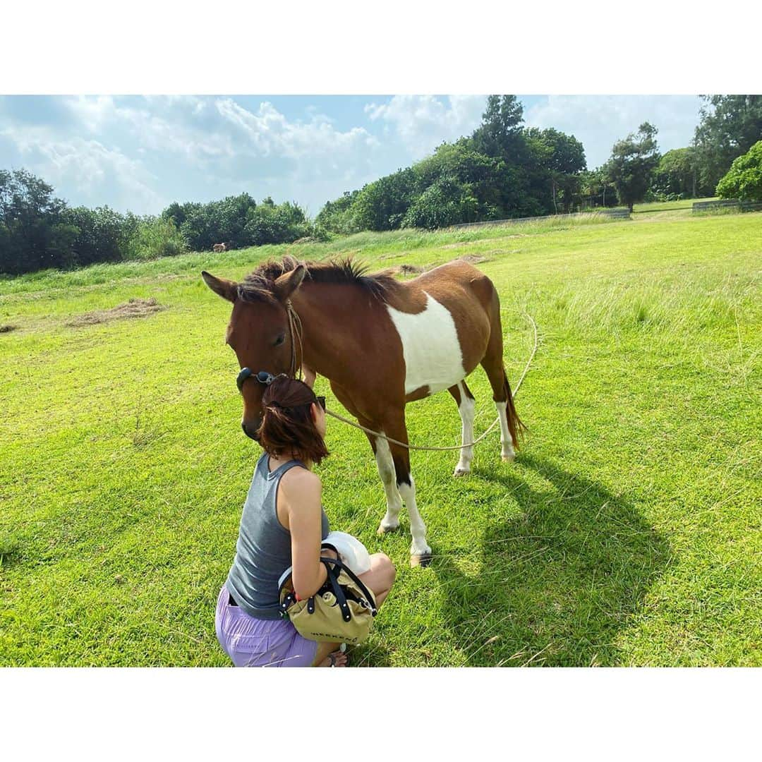 渡辺知夏子さんのインスタグラム写真 - (渡辺知夏子Instagram)「馬と仲良くなってボロボロになる一部始終www お団子にしてた髪をベロンベロンにして洋服もカミカミwww 洋服にヨダレも付きました🐴 帰ろうとすると引き止めてくるので、まるででっかい犬と遊んでるみたいでした😆 人懐っこかったなぁー！ 身体触ってたら、手が黒っぽい油みたいな汚れが凄かったけどwww なかなか取れませんでした🖐💦 ブラシしてあげたかったねー！ 可愛かったなぁー🥰 また会いたい💕 可愛すぎてこの後、馬について勉強したよw . 私もこんな土地があったら馬飼いたいなぁ🐴🔅 自然と動物は私にとって1番の贅沢です✨🥺✨ . . #思い出 #沖縄 #馬 #おりこうさん  #自然 #超適当な格好   #海潜る前」10月28日 22時19分 - chikako_724