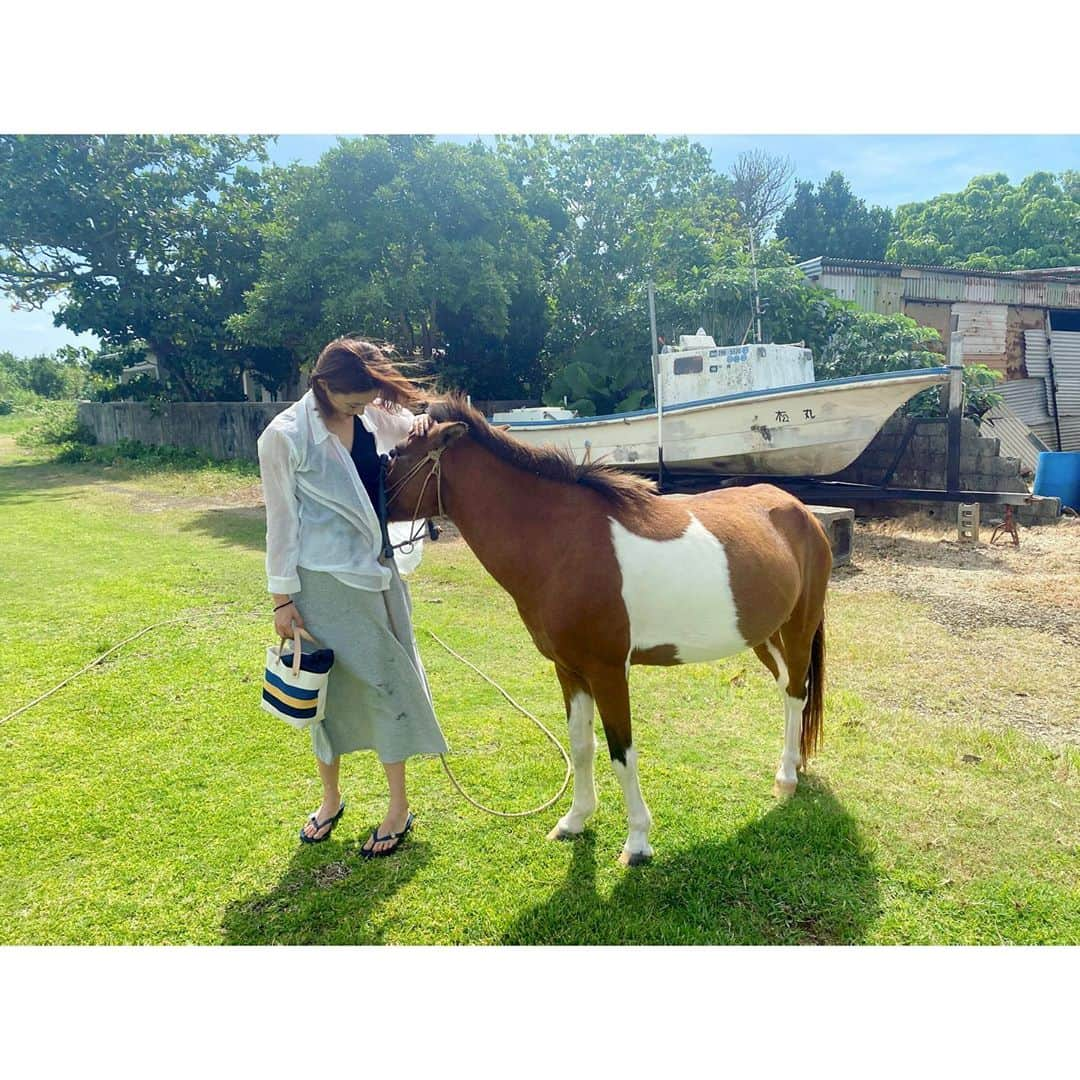 渡辺知夏子さんのインスタグラム写真 - (渡辺知夏子Instagram)「馬と仲良くなってボロボロになる一部始終www お団子にしてた髪をベロンベロンにして洋服もカミカミwww 洋服にヨダレも付きました🐴 帰ろうとすると引き止めてくるので、まるででっかい犬と遊んでるみたいでした😆 人懐っこかったなぁー！ 身体触ってたら、手が黒っぽい油みたいな汚れが凄かったけどwww なかなか取れませんでした🖐💦 ブラシしてあげたかったねー！ 可愛かったなぁー🥰 また会いたい💕 可愛すぎてこの後、馬について勉強したよw . 私もこんな土地があったら馬飼いたいなぁ🐴🔅 自然と動物は私にとって1番の贅沢です✨🥺✨ . . #思い出 #沖縄 #馬 #おりこうさん  #自然 #超適当な格好   #海潜る前」10月28日 22時19分 - chikako_724