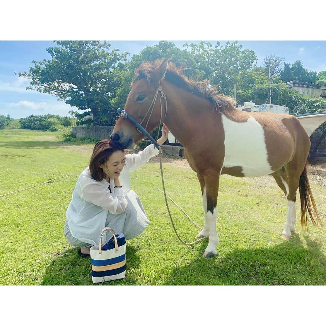 渡辺知夏子さんのインスタグラム写真 - (渡辺知夏子Instagram)「馬と仲良くなってボロボロになる一部始終www お団子にしてた髪をベロンベロンにして洋服もカミカミwww 洋服にヨダレも付きました🐴 帰ろうとすると引き止めてくるので、まるででっかい犬と遊んでるみたいでした😆 人懐っこかったなぁー！ 身体触ってたら、手が黒っぽい油みたいな汚れが凄かったけどwww なかなか取れませんでした🖐💦 ブラシしてあげたかったねー！ 可愛かったなぁー🥰 また会いたい💕 可愛すぎてこの後、馬について勉強したよw . 私もこんな土地があったら馬飼いたいなぁ🐴🔅 自然と動物は私にとって1番の贅沢です✨🥺✨ . . #思い出 #沖縄 #馬 #おりこうさん  #自然 #超適当な格好   #海潜る前」10月28日 22時19分 - chikako_724