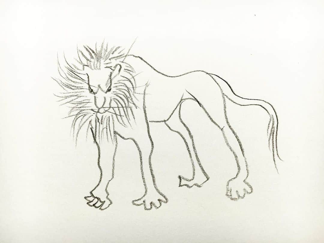 LiLi （矢野り々子）さんのインスタグラム写真 - (LiLi （矢野り々子）Instagram)「Lion  lili 13yrs old.  #lion #矢野り々子」10月28日 22時29分 - liliko.y