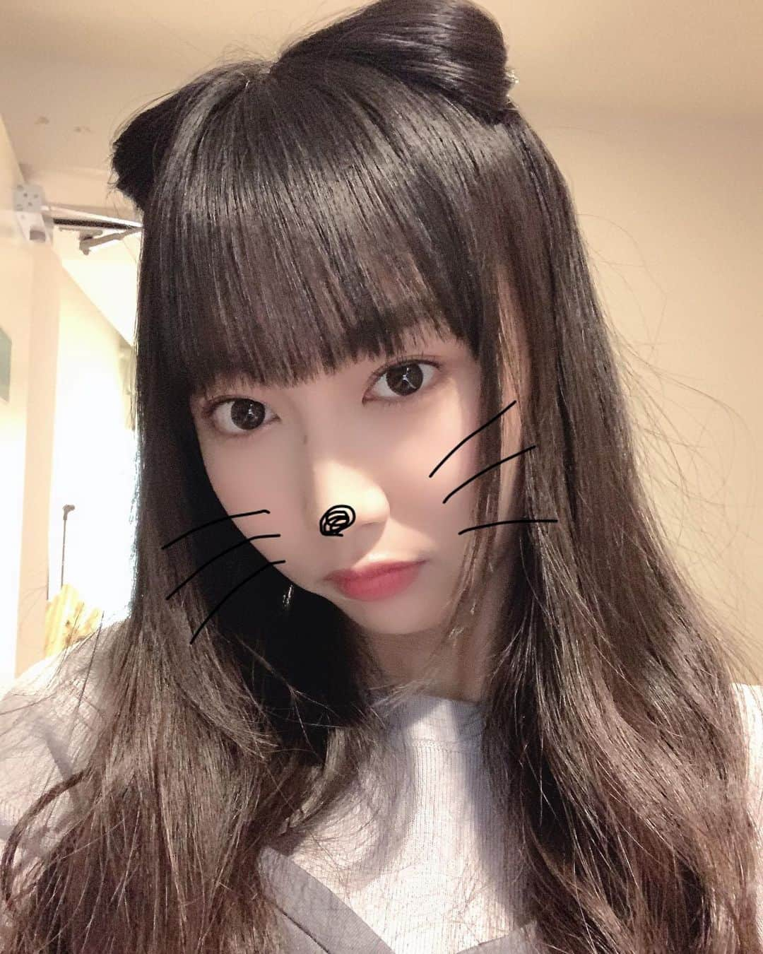 野村実代さんのインスタグラム写真 - (野村実代Instagram)「meow🐱🐱🐱」10月28日 22時30分 - miyomaruko_0201