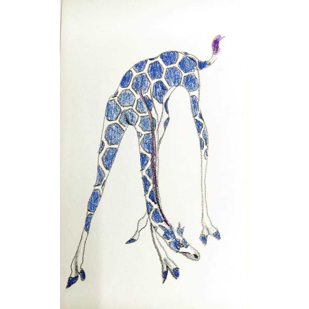 LiLi （矢野り々子）さんのインスタグラム写真 - (LiLi （矢野り々子）Instagram)「giraffe  lili 13yrs old.  #giraffe #矢野り々子」10月28日 22時33分 - liliko.y