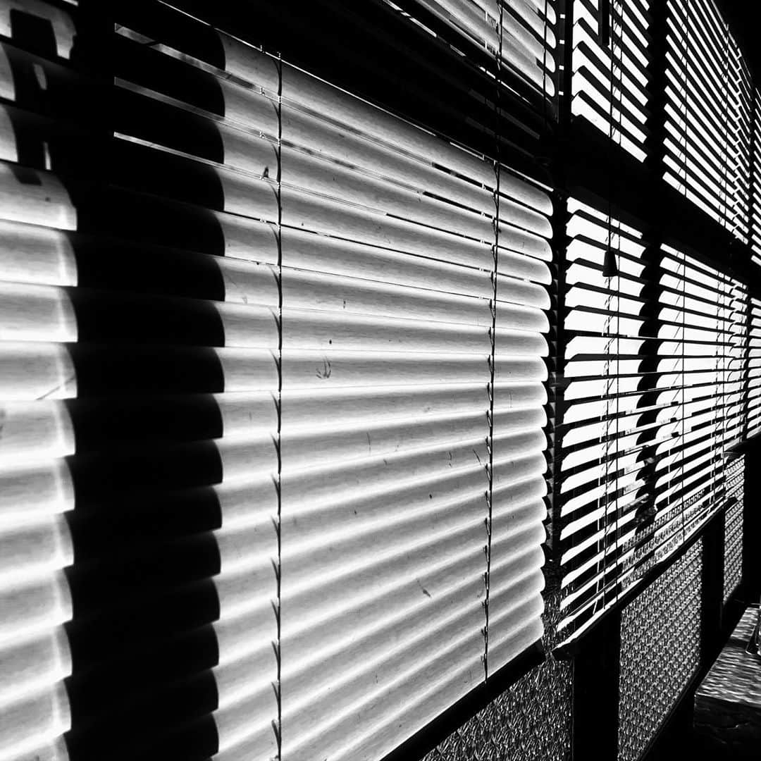 naotakeのインスタグラム：「ブラインド - Venetian blinds / iPhone XR & Snapseed, 20201029 . . ソロキャンプ用に購入した焚火台でテストをしてみた。うまくいったが全身ケム臭くなった。 . . #spicollective #royalsnappingartists #infamous_family #rsa_main #infinity_photo_cult #2_fineart #jp_gallery_member #jp_gallery_bnw #trb_bnw #wp_bnw  #bnw_life #bnwlife_member #bnw_life_shots #bnw_captures #world_bnw #top_bnw #team_jp_ #team_jp_モノクロ #ig_energy_bw #ig_nihon #streetphotographybnw #igersjp #blackandwhite #bnw #bnwphoto #monochrome #bw #bnwphotography #ShotOniPhone #shotoniphoneXR」