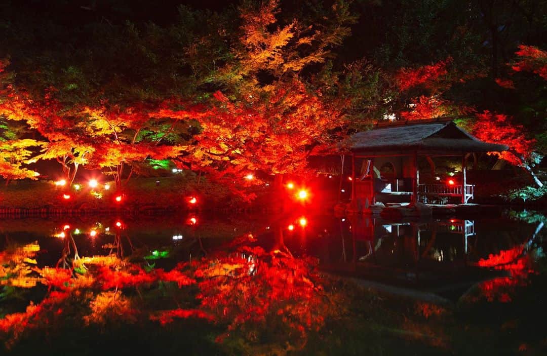 八芳園さんのインスタグラム写真 - (八芳園Instagram)「赤く燃える、八芳園の夜。 TOKYO RED GARDEN 2020 11/1 sun Start🍁 . 今週末から開始する、 庭園のライトアップ。 . 反射した赤が水面に溶け込み、 幻想的な和の空間が広がります。 . 日常を忘れて、 夢のなかにいるような時間。 . 一度しかない今年の秋。 . 都心にありながらも自然あふれる 港区白金台八芳園 . TOKYO RED GARDENにて、 特別なひとときをお過ごしください。 . . ————————————— ライトアップ期間 11月1日(日)〜12月15日(火) 17:00〜21:00 庭園入場料無料  ————————————— . . #TOKYOREDGARDEN #八芳園 #結婚式場 . #日本庭園 #自然 #紅葉 #紅葉スポット #紅葉ライトアップ #秋　#風景写真 #港区 . #東京観光  #東京カメラ部  #自然が好き #庭好き #写真好きな人と繋がりたい  #カメラ好きな人と繋がりたい  #風景写真を撮るのが好きな人と繋がりたい  #その瞬間に物語を  . #和装結婚式 #花嫁さんと繋がりたい  #プレ花嫁 #式場探し #プレ花嫁さんと繋がりたい . #japan #japanesegarden  #tokyotrip #forbestravelguide #photostagram  #tokyotokyo」10月28日 22時39分 - happoen