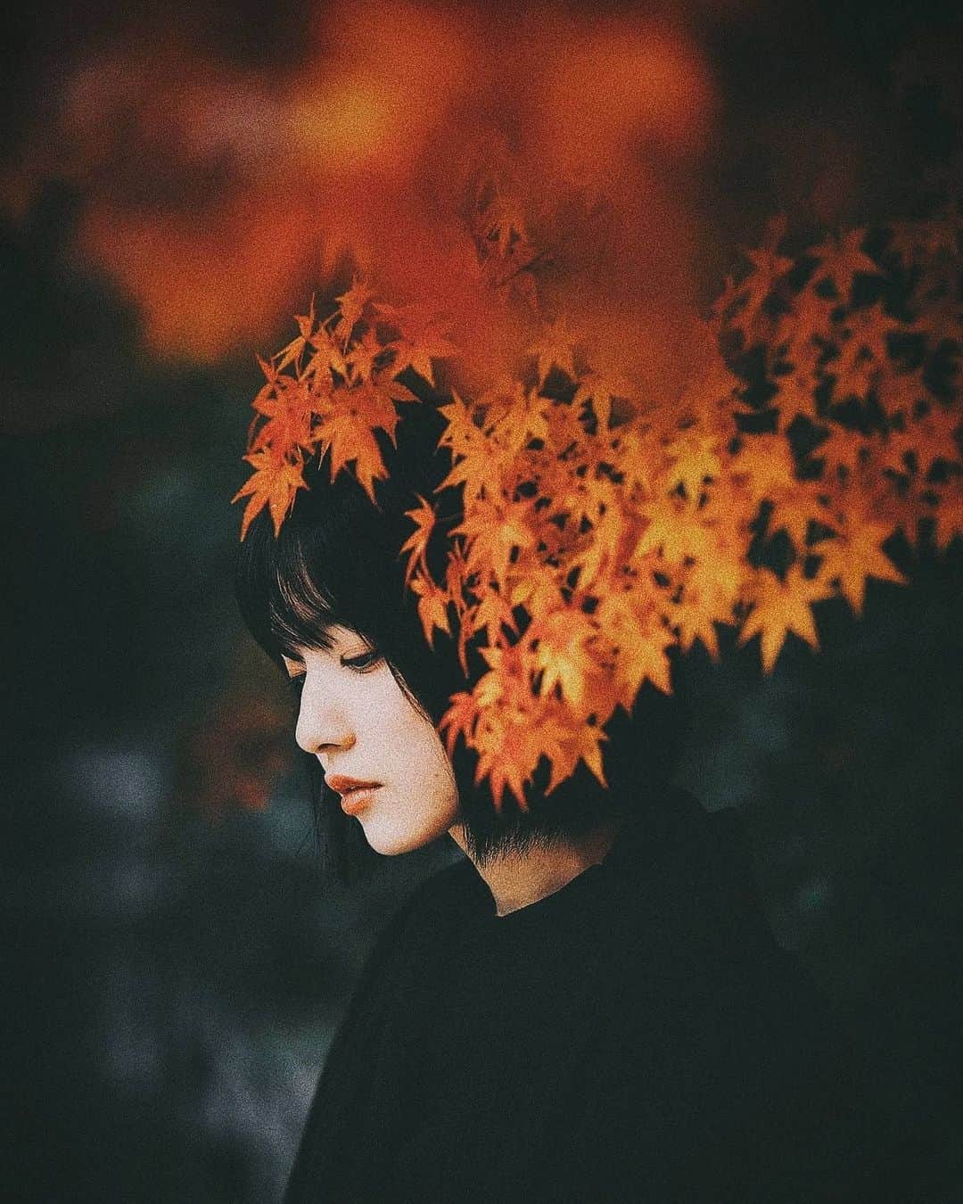 Berlin Tokyoのインスタグラム：「Fall is a visual gift giving by nature. . W/@chisa_photo_ . . . #hellofrom kyoto, #japan」
