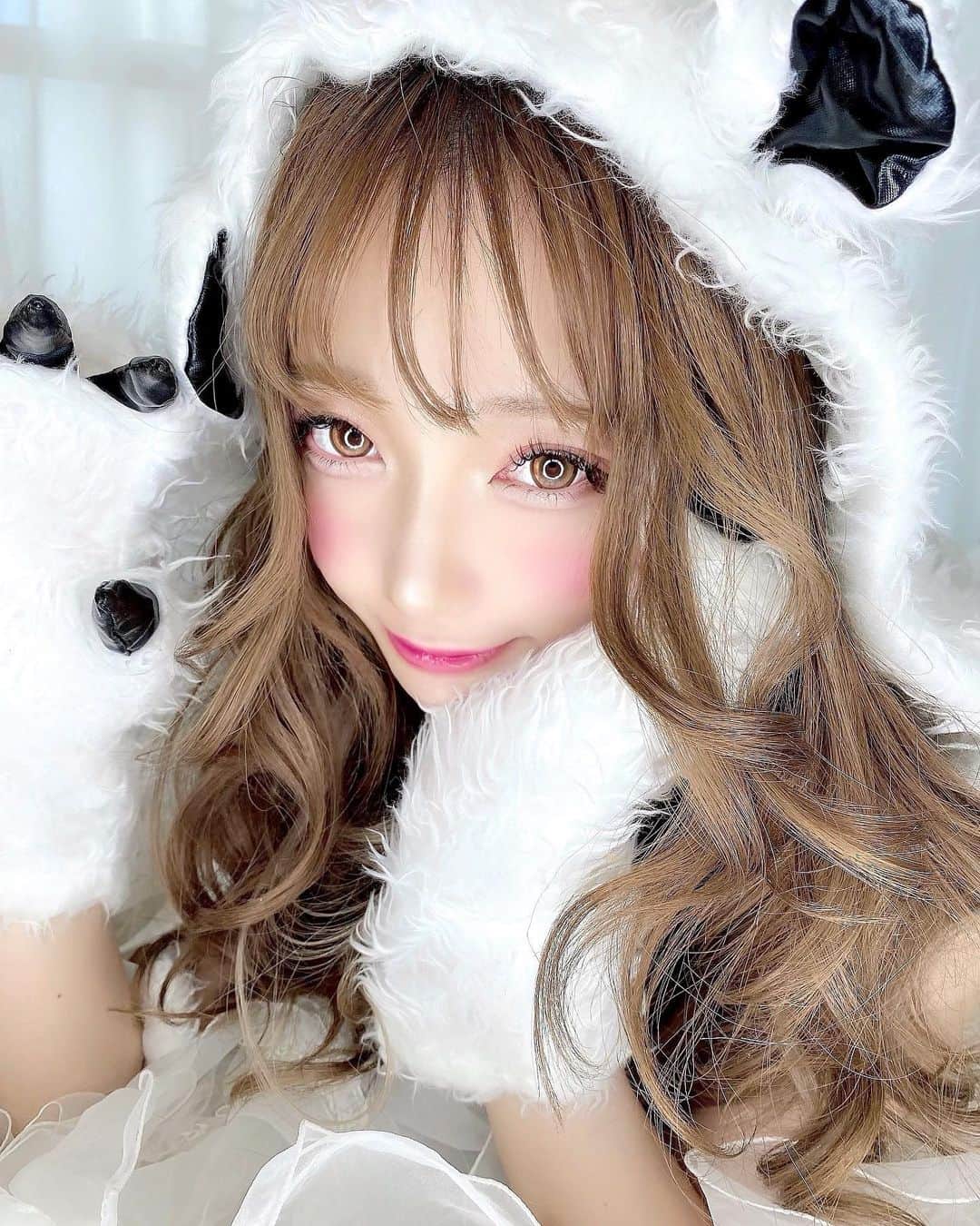 のインスタグラム：「がおー♡ しろくまさんのコス🐻🍯💫 だいすけさんとの初撮影📸 めちゃ可愛くしてくれるの✨ @daisuke_5511  とっても楽しかった☁️ ドアップ🤣🤣🤣 #ハロウィンコスプレ #ハロウィン仮装 #ハロウィンコス #クマさん  #しろくま #サロンモデル  #サロモ #撮影モデル #撮影データ」