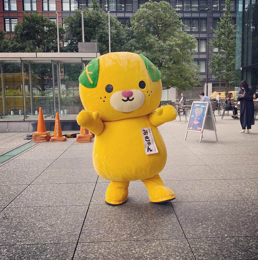 のインスタグラム：「みきゃん。大手町のサンケイビルの広場にいて、思わず愛媛のみかんを買いました🍊酸味があって美味しかったです。  #otekomachi #大手小町 #みきゃん #ゆるキャラ #愛媛 #みかん #大手町 #お疲れちゃん #癒し系 #癒し」