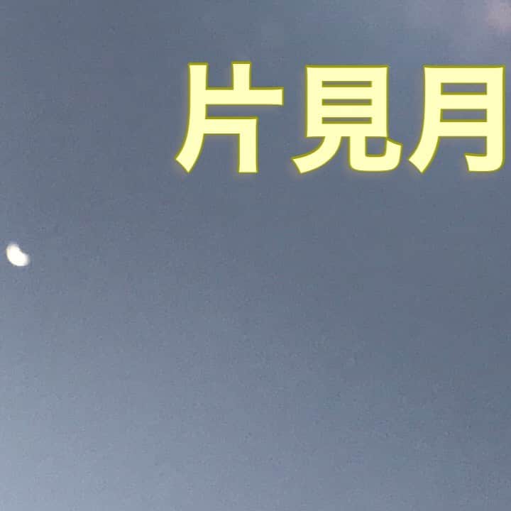 中野耕史のインスタグラム：「明日のお月様は十三夜🌕  収穫の秋🍁栗名月🌰  YouTube新作UPしました🎥  心を伝える日本語　#49 片見月 https://youtu.be/VZjHxG7AOO8 @YouTubeより」