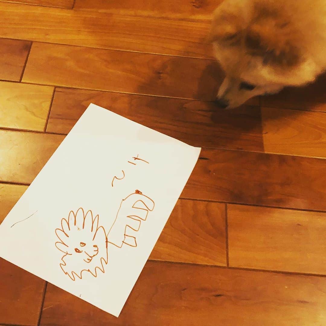 水野良樹さんのインスタグラム写真 - (水野良樹Instagram)「弟(３歳)が描いてくれた。 #いぬすたぐらむ」10月28日 15時01分 - mizunoyoshiki_teke