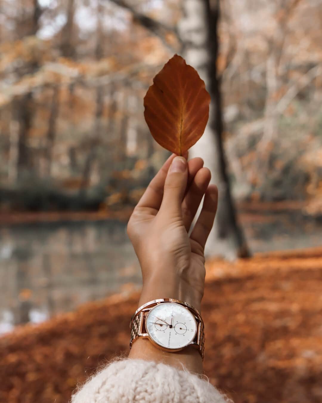 Kapten & Sonさんのインスタグラム写真 - (Kapten & SonInstagram)「'Start each day with a positive thought.' 🍁 Autumn outfit details by @alohaa_jana wearing our watch Chrono Gold "Steel". ⁠ #bekapten #kaptenandson⁠ .⁠ .⁠ .⁠ #nature #fashion #inspo #ootd #style #watch #outdoors #fashioninspo #happy #outfit #travel #explore #autumn #detail⁠」10月28日 15時30分 - kaptenandson