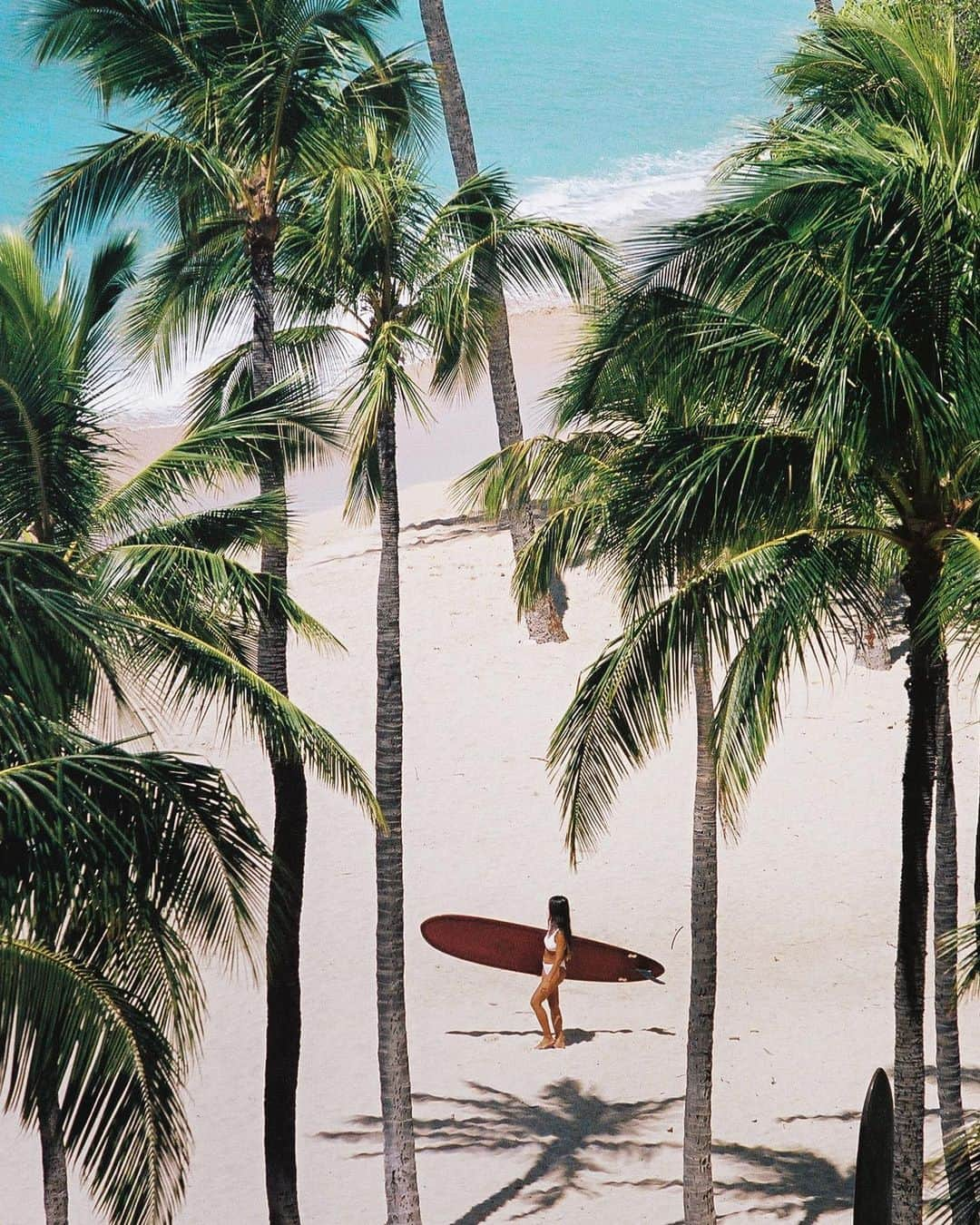 Tamikoのインスタグラム：「empty of people but still full of dreams...here’s to a time we’ll never forget 🌴🎞 photo @mermaidlove808  in @mikoh #35mm」