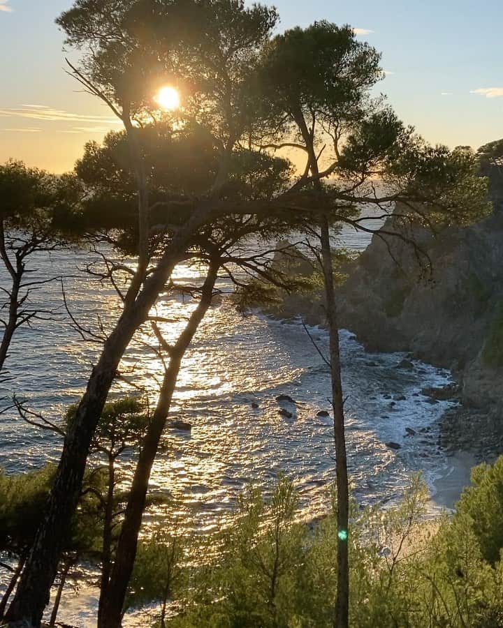 アレクシマビーユのインスタグラム：「Sunset & Umbrella pines #southoffrance @alexismabille #divine #colors #sunset #beauty #seaside #light #shine #sun #pines #nature #officeoftheday」