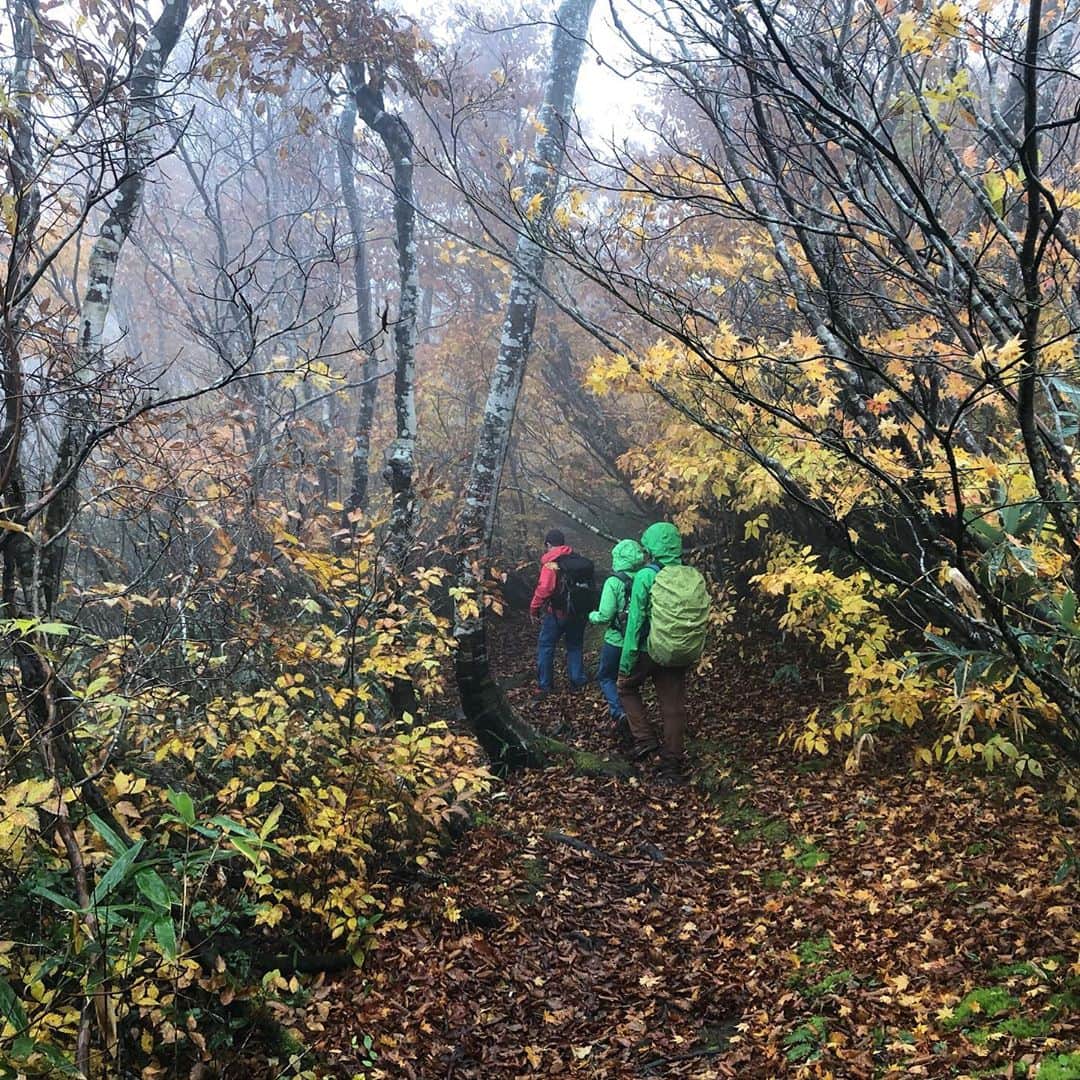 前田彩名さんのインスタグラム写真 - (前田彩名Instagram)「関田峠〜黒倉山〜鍋倉山　ピストン⛰。  新潟と長野の県境を歩きました👣。  紅葉してた〜🍁けど、雨でした☔️。 展望の良いスポットでは 日本海が見えるとのことでしたが、 見事に霧の中。。 こんな日もある😅。  ブナの木々の中を歩くのは気持ち良かった！」10月28日 16時31分 - ayana.maeda