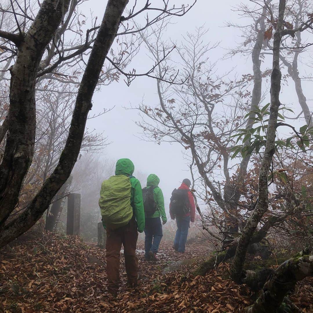前田彩名さんのインスタグラム写真 - (前田彩名Instagram)「関田峠〜黒倉山〜鍋倉山　ピストン⛰。  新潟と長野の県境を歩きました👣。  紅葉してた〜🍁けど、雨でした☔️。 展望の良いスポットでは 日本海が見えるとのことでしたが、 見事に霧の中。。 こんな日もある😅。  ブナの木々の中を歩くのは気持ち良かった！」10月28日 16時31分 - ayana.maeda
