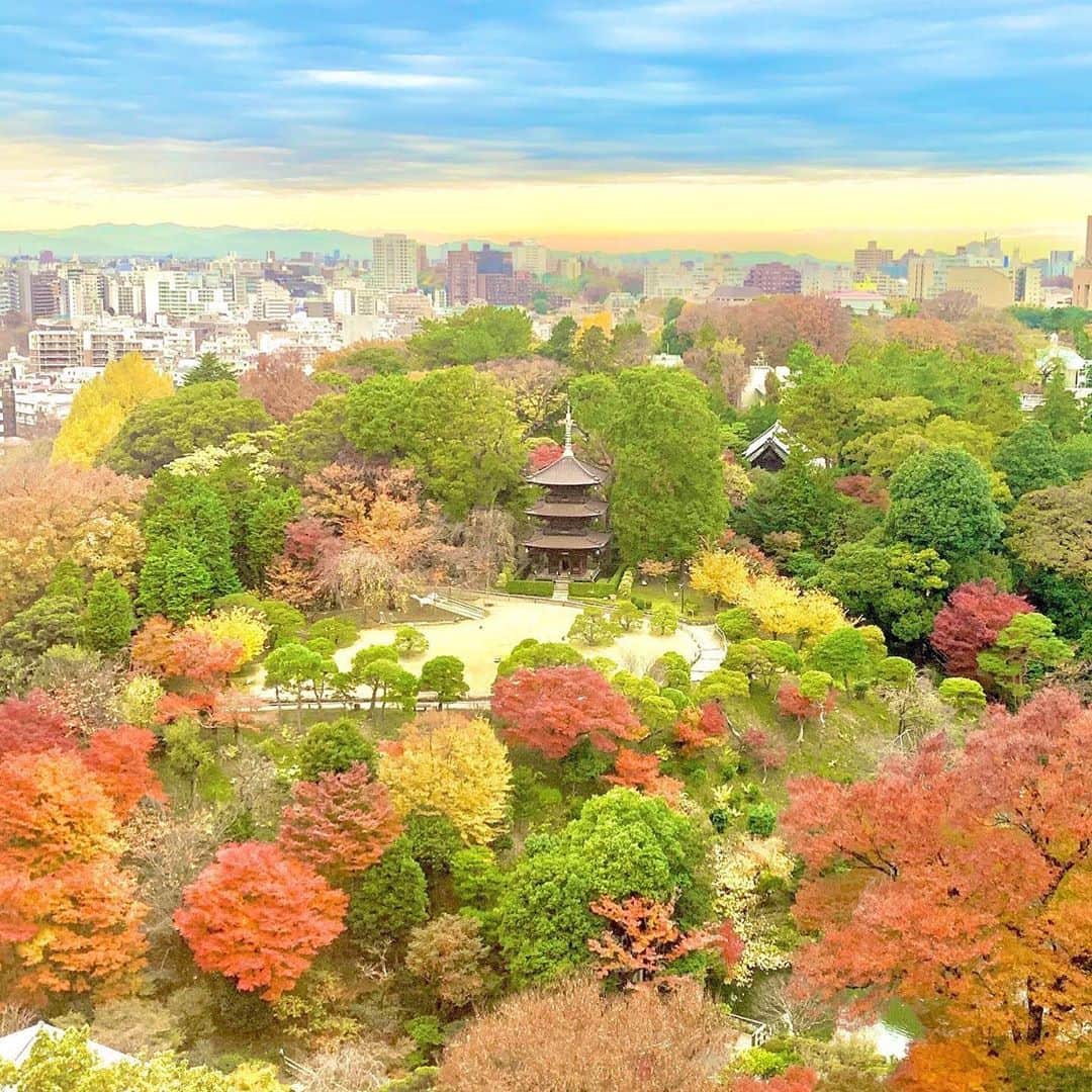 ホテル椿山荘東京のインスタグラム