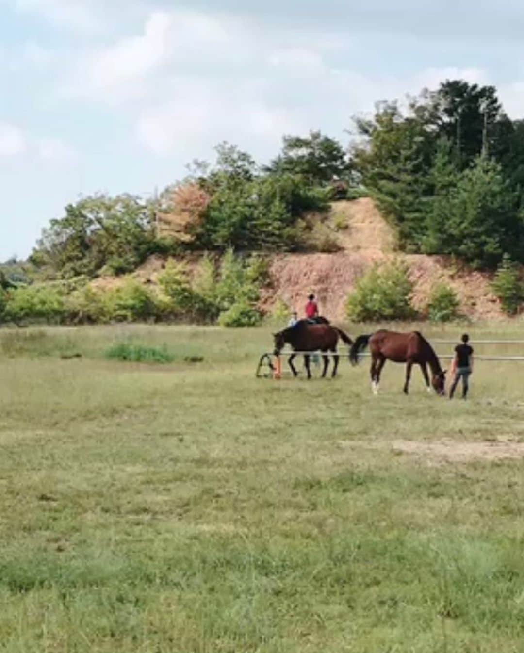 上枝恵美加さんのインスタグラム写真 - (上枝恵美加Instagram)「久々に行けたおうまさん🐎 写真撮らせて〜ってお願いしたら ちゃんとカメラ目線くれた♡ ． ． ＃私といえば #🐴 #乗馬女子 #ridinghorses #montaracaballo」10月28日 17時26分 - emika_kamieda