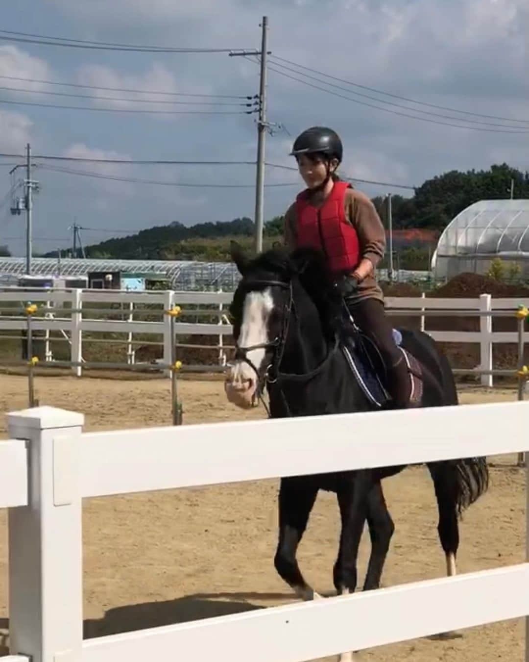 上枝恵美加さんのインスタグラム写真 - (上枝恵美加Instagram)「久々に行けたおうまさん🐎 写真撮らせて〜ってお願いしたら ちゃんとカメラ目線くれた♡ ． ． ＃私といえば #🐴 #乗馬女子 #ridinghorses #montaracaballo」10月28日 17時26分 - emika_kamieda