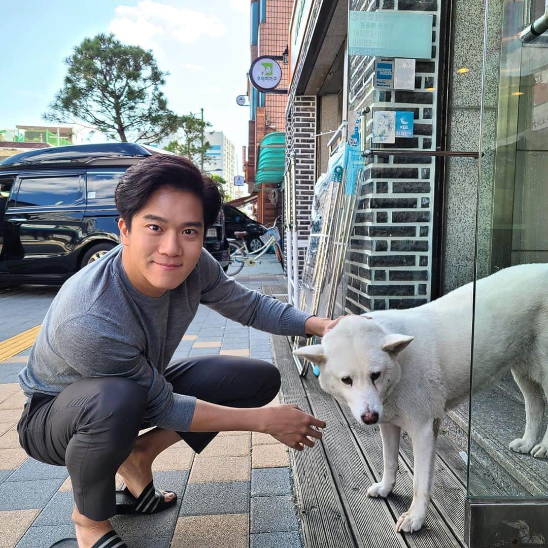 ハ・ソクジンさんのインスタグラム写真 - (ハ・ソクジンInstagram)「빵떡과 백구 #못생 #잘생」10月28日 17時27分 - haseokjin