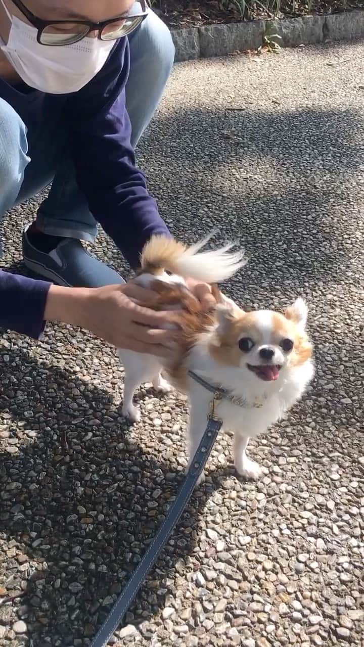 ちまのインスタグラム