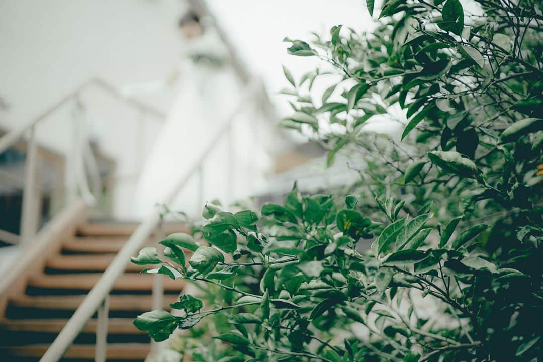 ラクラリエールのグルメインスタ