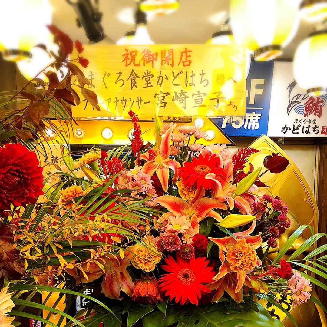 宮崎宣子さんのインスタグラム写真 - (宮崎宣子Instagram)「まぐろ食堂かどはち渋谷桜丘店がグランドオープン🥰  ということで、 ワイワイな居酒屋女子会🏮✨  美味しいまぐろ料理を食べながら、皆と話してたらあっという間でした😊  写真は若い皆のカメラワークが凄すぎておまかせ🤣 私の携帯は古いらしい😱  渋谷駅からも近くて、便利なので、まぐろをお得に美味しくワイワイ食べたかったらまぐろ食堂かどはちさんへ🍺🏮✨✨  #まぐろ食堂かどはち  #渋谷桜ヶ丘店  #女子会 #居酒屋女子会 #ワイワイ」10月28日 17時43分 - miyazaki_nobuko