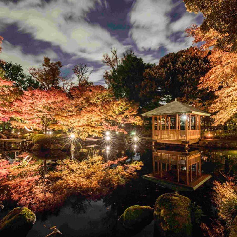 レッツエンジョイ東京さんのインスタグラム写真 - (レッツエンジョイ東京Instagram)「✩★夜も素敵！紅葉ライトアップ6選✩★﻿ ﻿ 昼の紅葉も良いけれど、ゆっくりと眺める落ち着いたライトアップされた紅葉を楽しんでみては？そこで今回は、この秋都内でライトアップが予定されている紅葉の名所をご紹介します。﻿ ﻿ 🍂1枚目：ホテル椿山荘東京﻿ 📷：江戸川橋／早稲田﻿ ﻿ 🍂2枚目：国営昭和記念公園﻿ 📷：西立川／立川﻿ ﻿ 🍂3枚目：江戸東京たてもの園﻿ 📷：武蔵小金井／花小金井﻿ ﻿ 🍂4枚目：東京都庭園美術館﻿ 📷：目黒／白金台﻿ ﻿ 🍂5枚目：八芳園﻿ 📷：白金台﻿ ﻿ 🍂6枚目：大田黒公園﻿ 📷：荻窪﻿ ﻿ ﻿ 詳細はアカウントトップから ☞@lets_enjoytokyo﻿ ﻿ ﻿ #レッツエンジョイ東京 ﻿ #休日の過ごし方﻿ #紅葉﻿ #紅葉デート﻿ #夜デート﻿ #紅葉見頃﻿ #紅葉狩り﻿ #紅葉ライトアップ﻿ #モミジ﻿ #イチョウ﻿ #カエデ﻿ #autumnleaves﻿ #写真好きな人と繋がりたい﻿ # art_of_japan_﻿ #秋の風景﻿ #紅葉の風景﻿ #国営昭和記念公園﻿ #ホテル椿山荘東京﻿ #江戸東京たてもの園﻿ #東京都庭園美術館﻿ #八芳園﻿ #大田黒公園﻿ #東京﻿ #都内」10月28日 17時55分 - lets_enjoytokyo