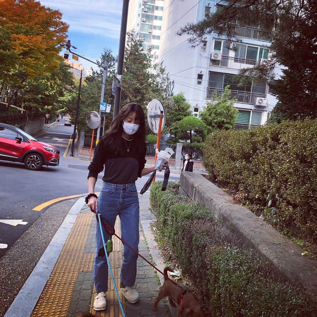 ヒョニ・カンさんのインスタグラム写真 - (ヒョニ・カンInstagram)「개어멈의 삶.. #프로산책러 🐕 🐶 🐶 첵스랑다단 그리고 #참봉사단설현이」10月28日 17時58分 - hyoni_kang