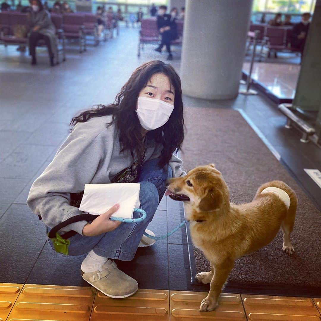 ヒョニ・カンさんのインスタグラム写真 - (ヒョニ・カンInstagram)「개어멈의 삶.. #프로산책러 🐕 🐶 🐶 첵스랑다단 그리고 #참봉사단설현이」10月28日 17時58分 - hyoni_kang