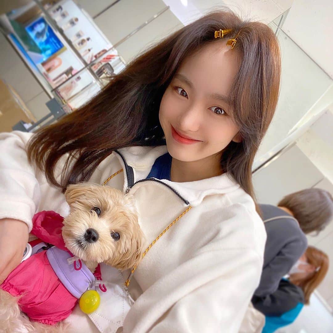 ウォン・ジナのインスタグラム：「💛🤍정팔 정8 🤍💛」