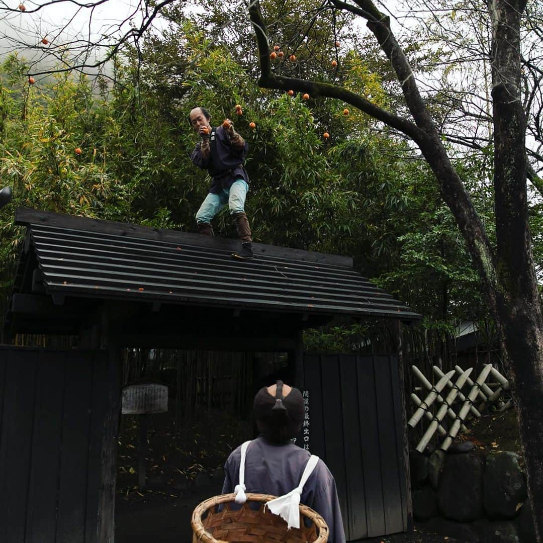 江戸ワンダーランド 日光江戸村のインスタグラム：「・ 秋の味覚  the taste of autumn 御用だ！You’re under arrest! ・ ・ #edo #gototravel #秋の江戸 #柿の木 #いざ江戸へドロン  #edowonderland #江戸ワンダーランド日光江戸村」