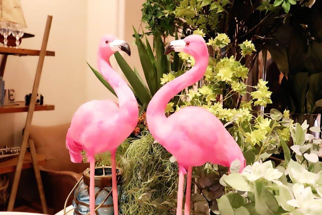 Momoeのインスタグラム