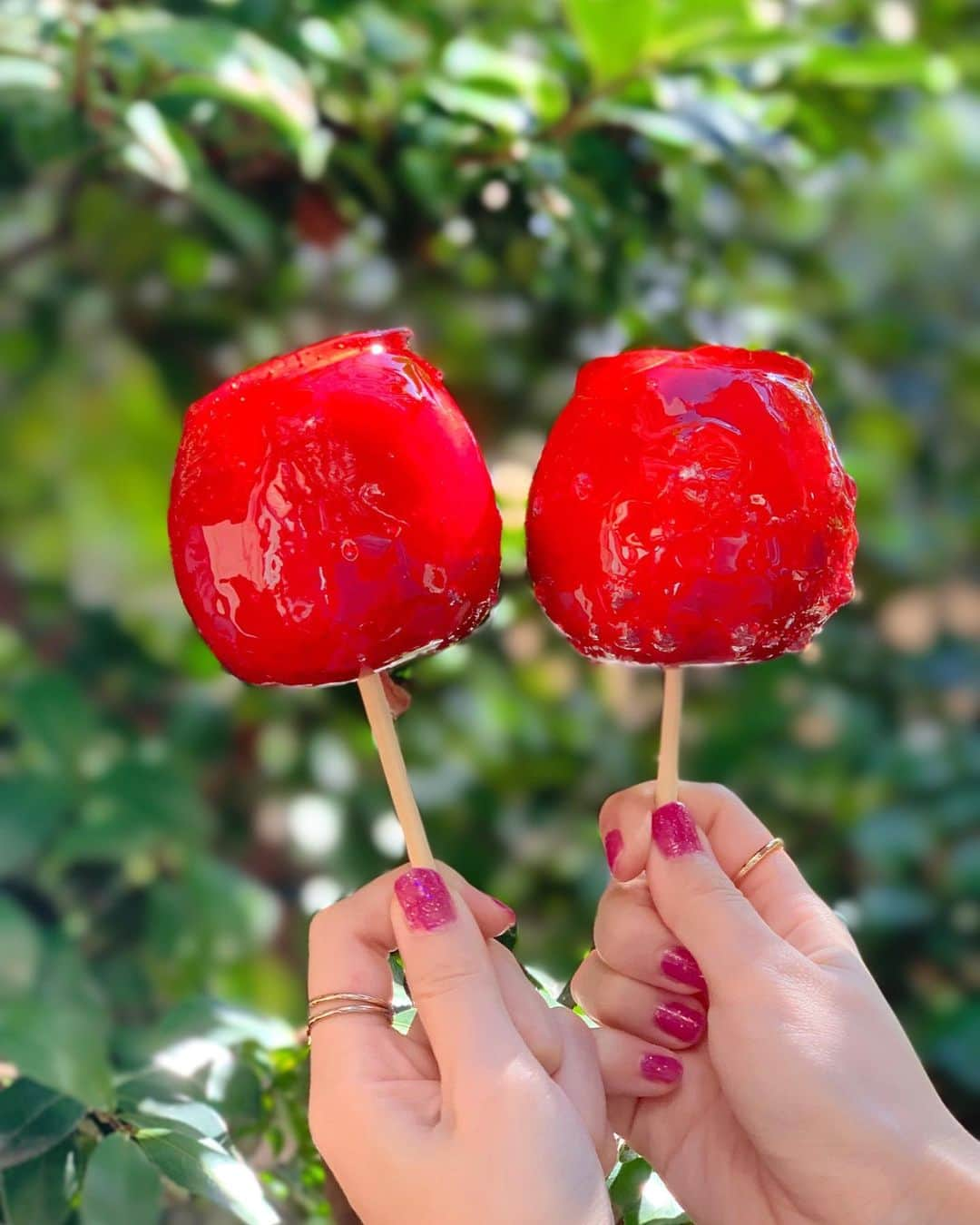 白井佑奈さんのインスタグラム写真 - (白井佑奈Instagram)「. . #candyapple  . . 👑りんご飴が映すぎるカフェ👑 . . ドラマ【恋はつづくよどこまでも】で上白石萌音ちゃんが食べてたりんご飴の専門店🍎🍏 . . お祭りのイメージあるりんご飴だけど、お店で食べるのもアリかも🤭💕 . お店も可愛いくて、THE映えカフェだったぁ🤤 . . ＊＊＊＊＊＊＊＊＊＊ candyapple @candy_apple_369  ＊＊＊＊＊＊＊＊＊＊ . プロフィールリンクはこちら👉 @yuna_smile0130  . . . #キャンディアップル #りんご #りんご飴 #りんご飴専門店 #上白石萌音 #恋つづ #こいつづ #代官山カフェ #代官山ランチ #代官山グルメ #恵比寿カフェ #恵比寿ランチ #恵比寿グルメ #ガールズプレス #カフェ好きな人と繋がりたい #カフェ巡り #カフェ女子 #カフェスタグラム #動画編集 #食べる動画 #グルメ動画 #candy #apple #fff #japanesegirl #sweets」10月28日 19時50分 - yuna_smile0130