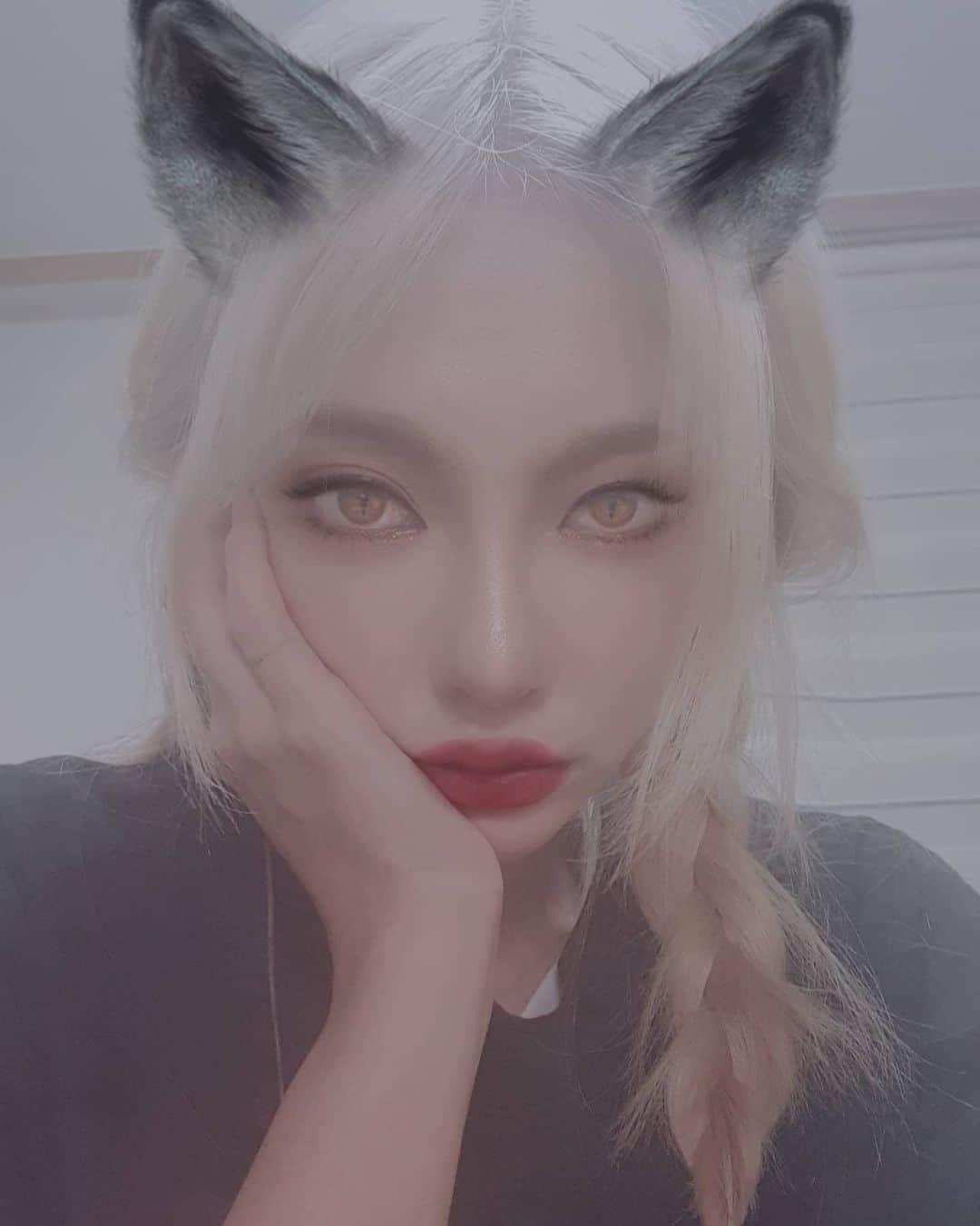 ディのインスタグラム