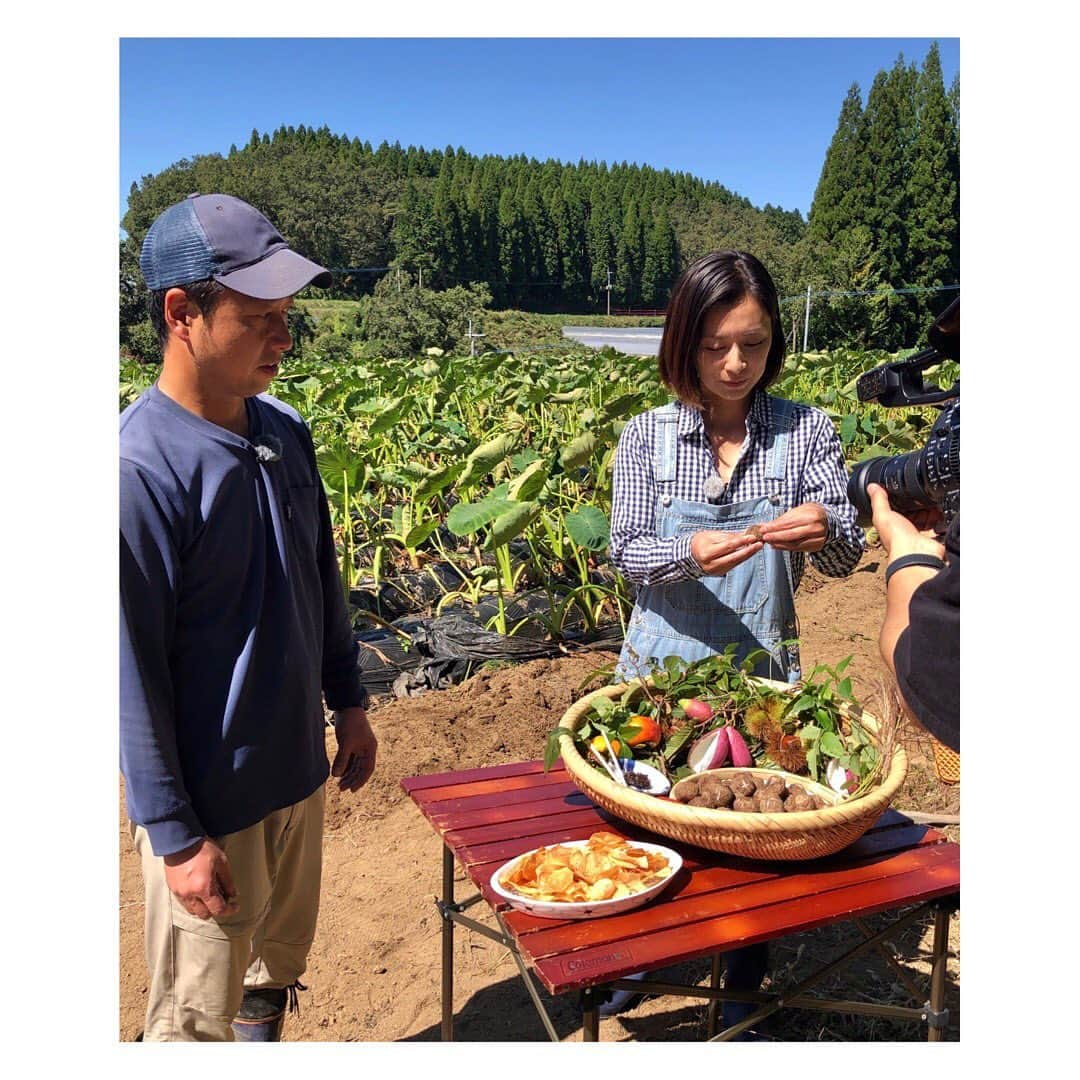 伴都美子さんのインスタグラム写真 - (伴都美子Instagram)「✔️﻿ ﻿ 里芋チップスに沢山コメントありがとうございます😃﻿ ﻿  実は「agri de キッチン」の収録時に﻿ 生産者さんに教えていただきました☺️ ﻿ 里芋生産者はなんと！﻿ 中学の同級生、貴士くん！﻿ ﻿ 有機農業を30年前に始めたお父様(!!)の後を継ぎ就農。 素晴らしい👏😭﻿ ﻿ 収穫前に里芋料理のおもてなしをいただきました。 きぬかつぎと里芋チップス✨﻿ めーーーーっちゃ美味しくて感動😭﻿ ﻿  後日 早速自宅でチップス作り。﻿ ﻿ しかし、、、思ってたんと違う…﻿😂 ﻿ 貴士くん曰く、 １ミリくらいの薄さ、水分が抜けるまで焦げない程度に揚げるのがポイントだそうです。 ﻿ 出来るだけ薄くスライスできるスライサーが理想的ですね。(ぬめりに気をつけましょう。)﻿ ﻿ 仕上げに塩、胡椒、粉チーズなどお好みで。﻿ ﻿ 先日の画像はチャレンジ三回目🥢  ﻿ うちの子たちも気に入ってます！﻿ おつまみにもなります！﻿ ﻿ 大きめの里芋が手に入ったら ぜひ作ってみてね😙﻿ ﻿ ﻿ 番組では里芋コロッケを作ります。﻿ OnAirをお楽しみに〜✨﻿ ﻿ ﻿ ﻿ #伴都美子とアグリデキッチン ﻿ #熊本朝日放送  #jaかみましき  #渡辺夏子  #山都町  #山都デシカ  #里芋料理」10月28日 20時50分 - van._doasinfinity