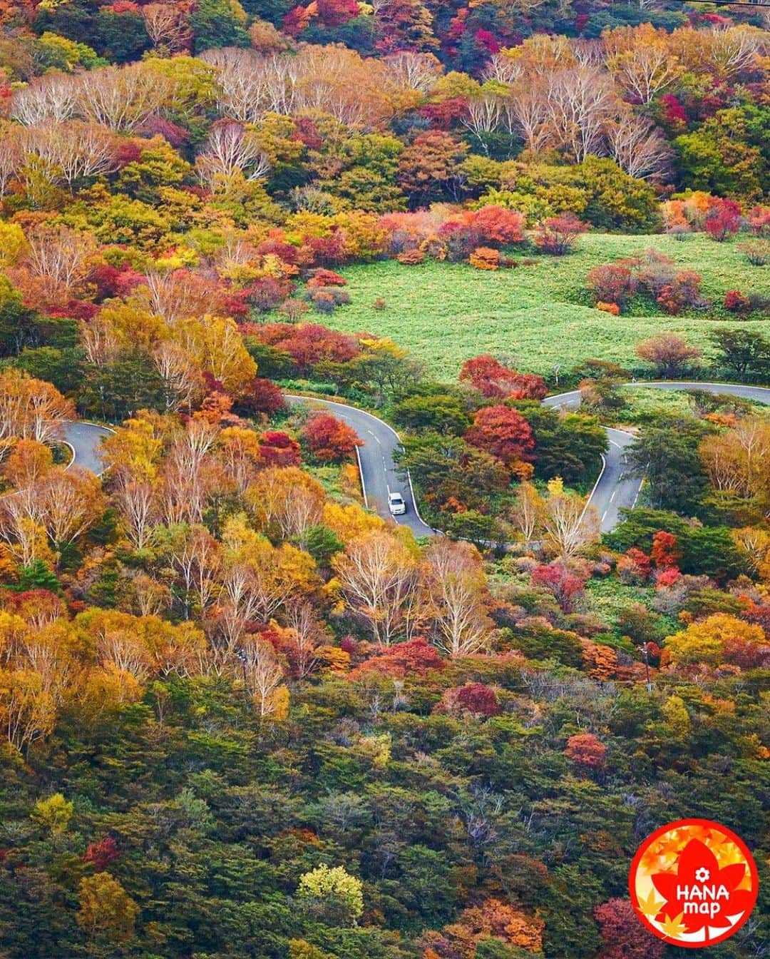 はなまっぷ❁日本の花風景さんのインスタグラム写真 - (はなまっぷ❁日本の花風景Instagram)「🍂🍁はなまっぷの紅葉まつり🍁🍂 *  @mika05011972 さんの 紅葉に花まるを💮 * 色とりどりに染まる美しい日本の秋をありがとうございます😊🍁🍂 * 栃木　#那須 Nasu, Tochigi Pref. * 見頃を過ぎている場所もご紹介しています。 お出かけの際はHP等で最新の情報をご確認くださいね🙏🍁 * 🍁•••🍂•••🍁•••🍂•••🍁•••🍂 * 🍂🍁はなまっぷの紅葉まつり🍁🍂 〜紅葉の季節が終わる頃まで #はなまっぷ  のタグの中から、紅葉のお写真をご紹介させていただきます。期間中はランダムに、複数枚投稿でもご紹介させていただく場合がございます。 * #秋#紅葉#風景#はなまっぷ」10月28日 21時02分 - hanamap