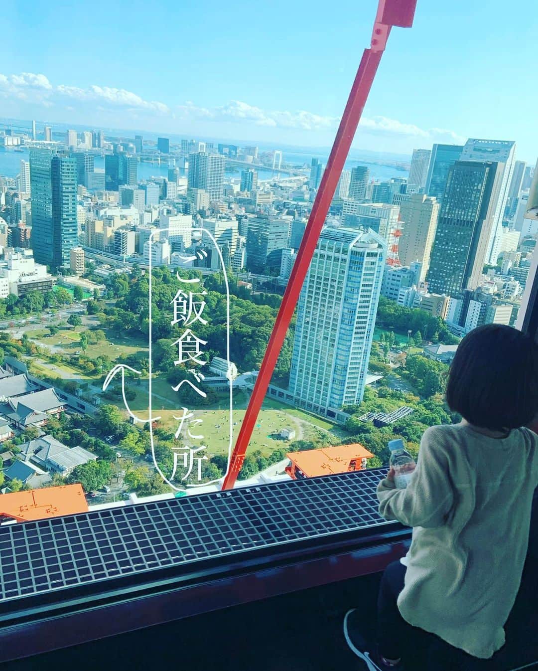 大和田美帆さんのインスタグラム写真 - (大和田美帆Instagram)「#東京観光#ワガコとおでかけ #こどもとおでかけ#東京タワー #ピクニック#芝公園 #ヒカキン　が応援大使ですって。 .  先日のお休みに、前回の浅草にひきつづき、東京観光してみました。 . 今回は東京タワー。 東京育ちでも、見かけるたびに嬉しくなる東京タワー。 やっぱり一番好きなタワーだなぁ。 .  自分のいた場所を 違う角度から見てみよう！ . というわけで、上からピクニックをした場所を確認。 .  物事を多面的に捉えられるようになってほしいし、わたしもそうなりたいな。 . 広いと思っていた場所は もしかしたらすごく狭いかもしれない。」10月28日 21時06分 - miho_ohwada