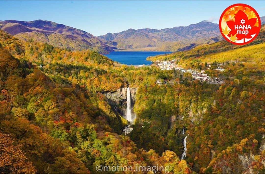はなまっぷ❁日本の花風景さんのインスタグラム写真 - (はなまっぷ❁日本の花風景Instagram)「🍂🍁はなまっぷの紅葉まつり🍁🍂 * @motion.imaging  さんの 紅葉に花まるを💮 * 色とりどりに染まる美しい日本の秋をありがとうございます😊🍁🍂 * 栃木　#日光 Nikko, Tochigi Pref. * 見頃を過ぎている場所もご紹介しています。 お出かけの際はHP等で最新の情報をご確認くださいね🙏🍁 * 🍁•••🍂•••🍁•••🍂•••🍁•••🍂 * 🍂🍁はなまっぷの紅葉まつり🍁🍂 〜紅葉の季節が終わる頃まで #はなまっぷ  のタグの中から、紅葉のお写真をご紹介させていただきます。期間中はランダムに、複数枚投稿でもご紹介させていただく場合がございます。 * #秋#紅葉#風景#はなまっぷ」10月28日 21時08分 - hanamap